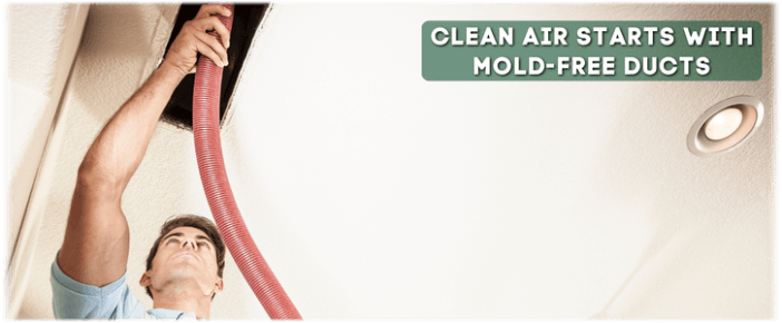 Air Duct Mold Removal in Greenville TX