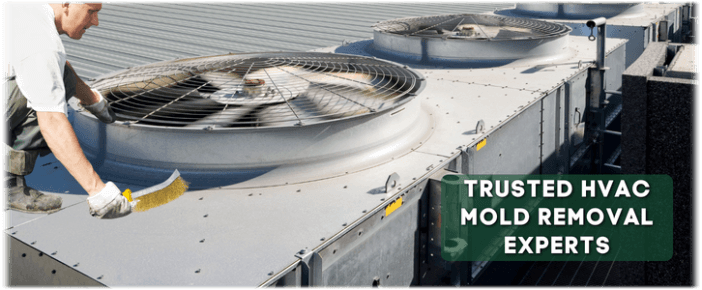 HVAC Mold Removal Greenville TX